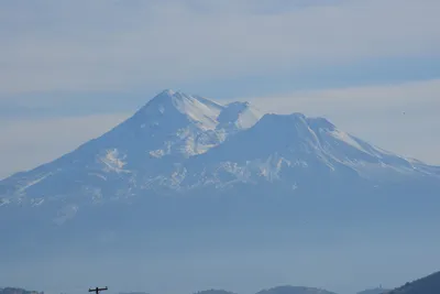 DSC_3131 (Large).JPG